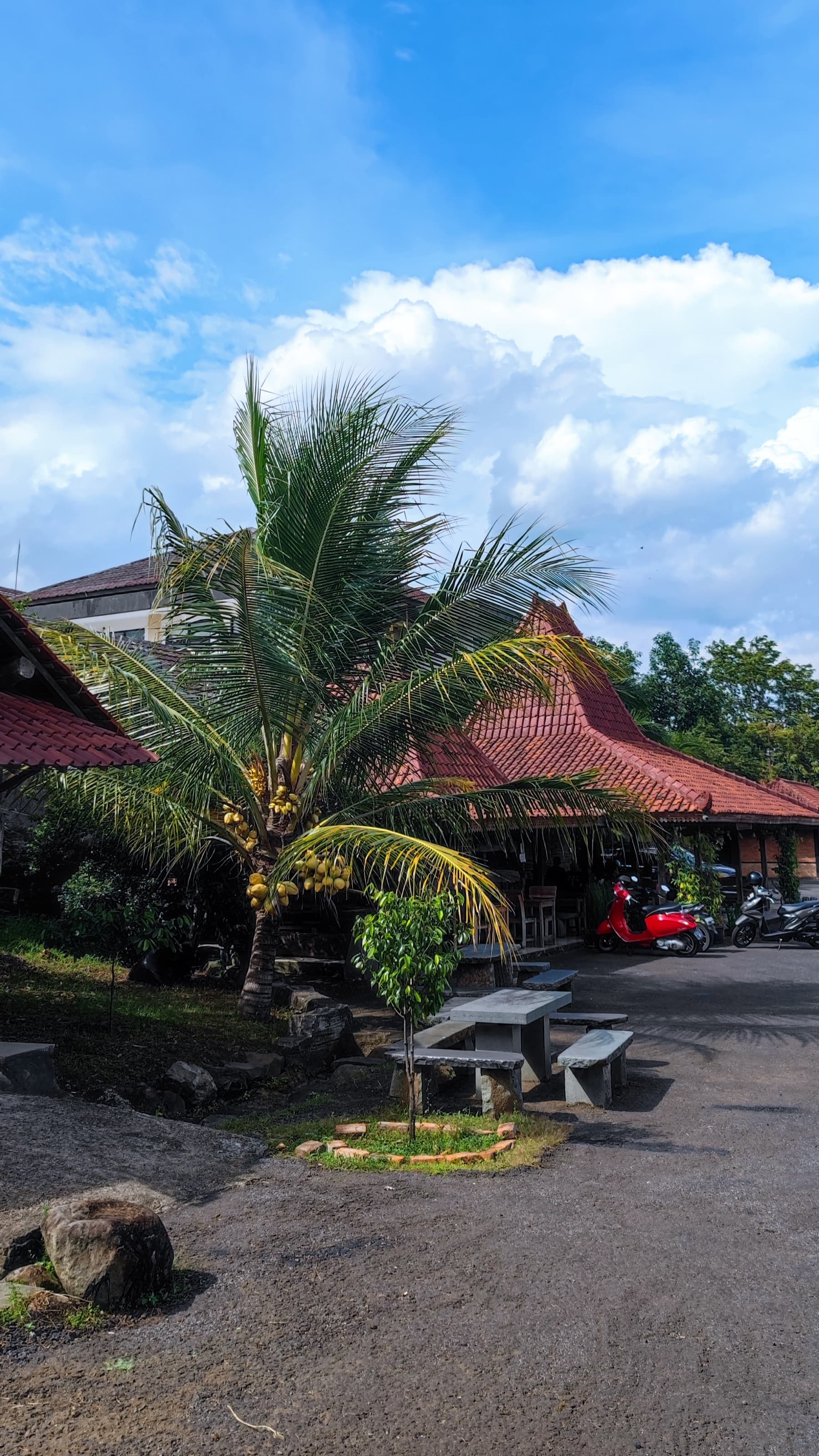 Tumaritis Property